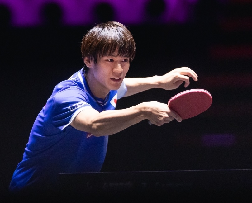 泊雷特, 决赛, 奇克